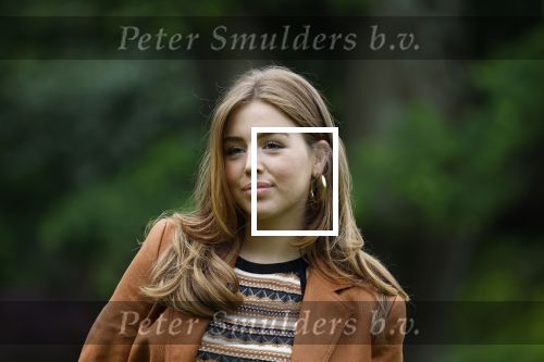 Den Haag 7 juni 2024
Fotouurte met de koninklijke familie op Huis ten Bosch .
Aanwezig Koning Willem Alexander Koningin Maxima Prinses Amalia Prinses Alexia Prinses Ariane en hun hondje Rambo.