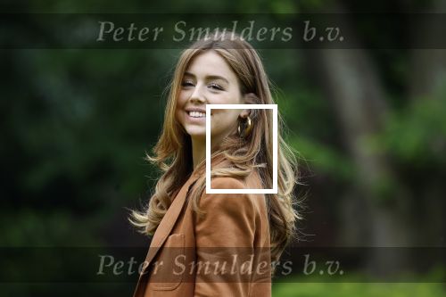 Den Haag 7 juni 2024
Fotouurte met de koninklijke familie op Huis ten Bosch .
Aanwezig Koning Willem Alexander Koningin Maxima Prinses Amalia Prinses Alexia Prinses Ariane en hun hondje Rambo.