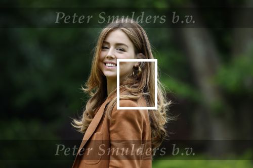 Den Haag 7 juni 2024
Fotouurte met de koninklijke familie op Huis ten Bosch .
Aanwezig Koning Willem Alexander Koningin Maxima Prinses Amalia Prinses Alexia Prinses Ariane en hun hondje Rambo.