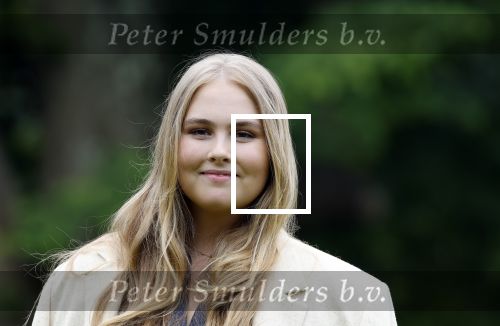 Den Haag 7 juni 2024
Fotouurte met de koninklijke familie op Huis ten Bosch .
Aanwezig Koning Willem Alexander Koningin Maxima Prinses Amalia Prinses Alexia Prinses Ariane en hun hondje Rambo.