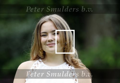 Den Haag 7 juni 2024
Fotouurte met de koninklijke familie op Huis ten Bosch .
Aanwezig Koning Willem Alexander Koningin Maxima Prinses Amalia Prinses Alexia Prinses Ariane en hun hondje Rambo.