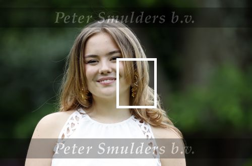 Den Haag 7 juni 2024
Fotouurte met de koninklijke familie op Huis ten Bosch .
Aanwezig Koning Willem Alexander Koningin Maxima Prinses Amalia Prinses Alexia Prinses Ariane en hun hondje Rambo.