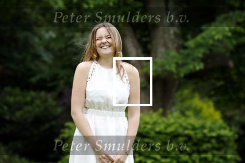 Den Haag 7 juni 2024
Fotouurte met de koninklijke familie op Huis ten Bosch .
Aanwezig Koning Willem Alexander Koningin Maxima Prinses Amalia Prinses Alexia Prinses Ariane en hun hondje Rambo.