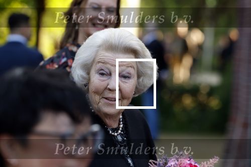 Amsterdam 6 juni 2024
Prinses Beatrix bij Holland festival in de westergasfabriek.