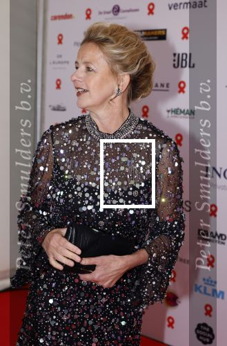 Amsterdam 8 juni 2024
Het Amsterdam diner in AFAS live . Vele Bekende mensen en zakenmensen kwamen naar het gala waar geld opgehaald wordt voor het aids fonds. Prinses Mabel