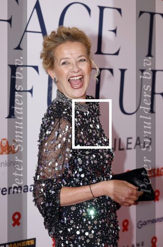 Amsterdam 8 juni 2024
Het Amsterdam diner in AFAS live . Vele Bekende mensen en zakenmensen kwamen naar het gala waar geld opgehaald wordt voor het aids fonds. Prinses Mabel