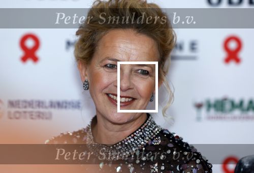 Amsterdam 8 juni 2024
Het Amsterdam diner in AFAS live . Vele Bekende mensen en zakenmensen kwamen naar het gala waar geld opgehaald wordt voor het aids fonds. Prinses Mabel