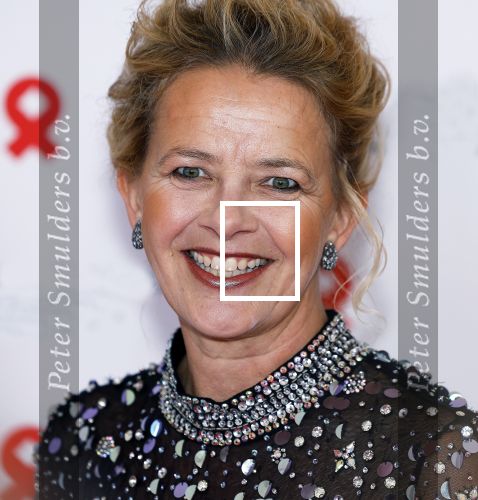 Amsterdam 8 juni 2024
Het Amsterdam diner in AFAS live . Vele Bekende mensen en zakenmensen kwamen naar het gala waar geld opgehaald wordt voor het aids fonds. Prinses Mabel