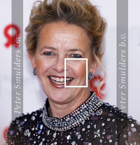 Amsterdam 8 juni 2024
Het Amsterdam diner in AFAS live . Vele Bekende mensen en zakenmensen kwamen naar het gala waar geld opgehaald wordt voor het aids fonds. Prinses Mabel