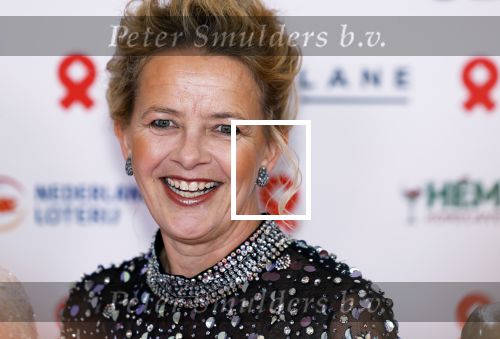 Amsterdam 8 juni 2024
Het Amsterdam diner in AFAS live . Vele Bekende mensen en zakenmensen kwamen naar het gala waar geld opgehaald wordt voor het aids fonds. Prinses Mabel