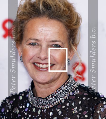 Amsterdam 8 juni 2024
Het Amsterdam diner in AFAS live . Vele Bekende mensen en zakenmensen kwamen naar het gala waar geld opgehaald wordt voor het aids fonds. Prinses Mabel
