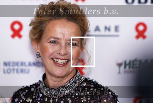 Amsterdam 8 juni 2024
Het Amsterdam diner in AFAS live . Vele Bekende mensen en zakenmensen kwamen naar het gala waar geld opgehaald wordt voor het aids fonds. Prinses Mabel