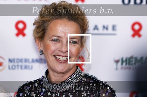 Amsterdam 8 juni 2024
Het Amsterdam diner in AFAS live . Vele Bekende mensen en zakenmensen kwamen naar het gala waar geld opgehaald wordt voor het aids fonds. Prinses Mabel