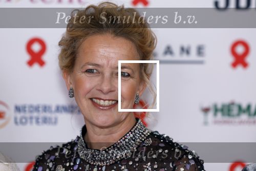 Amsterdam 8 juni 2024
Het Amsterdam diner in AFAS live . Vele Bekende mensen en zakenmensen kwamen naar het gala waar geld opgehaald wordt voor het aids fonds. Prinses Mabel