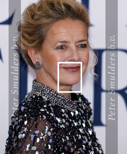 Amsterdam 8 juni 2024
Het Amsterdam diner in AFAS live . Vele Bekende mensen en zakenmensen kwamen naar het gala waar geld opgehaald wordt voor het aids fonds. Prinses Mabel