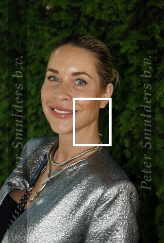 Amsterdam 6 juni 2024
Talkies terras awards bij het College Hotel . Renee Vervoorn