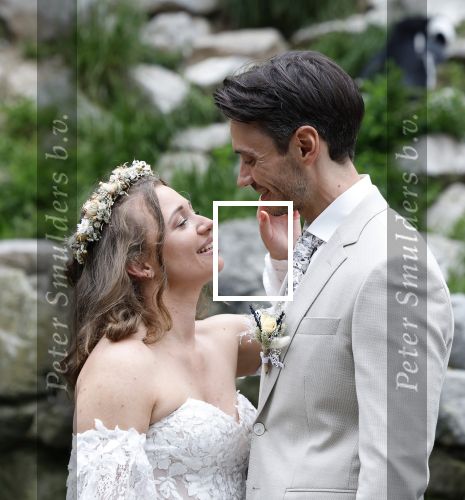 Arnhem 27 mei 2024
Trouwen Robbert de Nijs en zijn vrouw Sharon in Burgers Zoo. Zijn vader Rob de Nijs en moeder Belinda Meuldijk waren de getuigen .