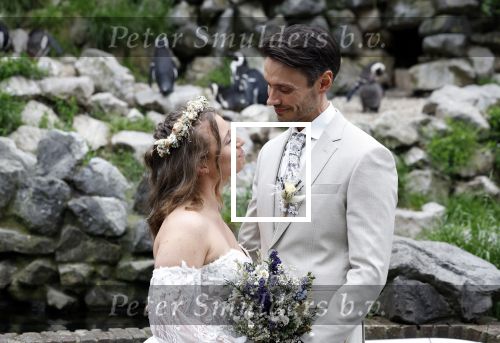 Arnhem 27 mei 2024
Trouwen Robbert de Nijs en zijn vrouw Sharon in Burgers Zoo. Zijn vader Rob de Nijs en moeder Belinda Meuldijk waren de getuigen .