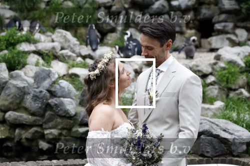 Arnhem 27 mei 2024
Trouwen Robbert de Nijs en zijn vrouw Sharon in Burgers Zoo. Zijn vader Rob de Nijs en moeder Belinda Meuldijk waren de getuigen .