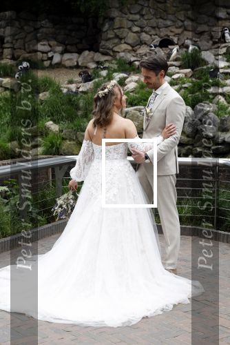 Arnhem 27 mei 2024
Trouwen Robbert de Nijs en zijn vrouw Sharon in Burgers Zoo. Zijn vader Rob de Nijs en moeder Belinda Meuldijk waren de getuigen .