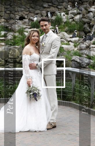 Arnhem 27 mei 2024
Trouwen Robbert de Nijs en zijn vrouw Sharon in Burgers Zoo. Zijn vader Rob de Nijs en moeder Belinda Meuldijk waren de getuigen .