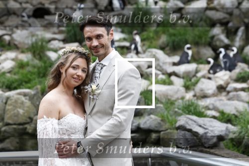 Arnhem 27 mei 2024
Trouwen Robbert de Nijs en zijn vrouw Sharon in Burgers Zoo. Zijn vader Rob de Nijs en moeder Belinda Meuldijk waren de getuigen .
