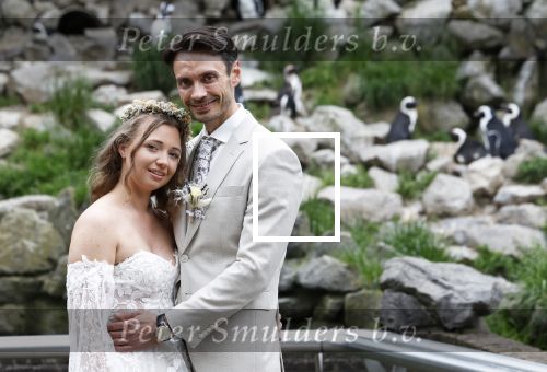 Arnhem 27 mei 2024
Trouwen Robbert de Nijs en zijn vrouw Sharon in Burgers Zoo. Zijn vader Rob de Nijs en moeder Belinda Meuldijk waren de getuigen .