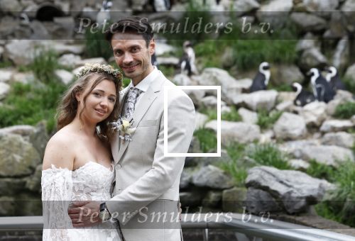 Arnhem 27 mei 2024
Trouwen Robbert de Nijs en zijn vrouw Sharon in Burgers Zoo. Zijn vader Rob de Nijs en moeder Belinda Meuldijk waren de getuigen .