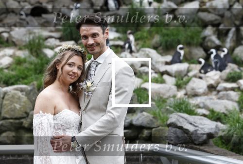 Arnhem 27 mei 2024
Trouwen Robbert de Nijs en zijn vrouw Sharon in Burgers Zoo. Zijn vader Rob de Nijs en moeder Belinda Meuldijk waren de getuigen .