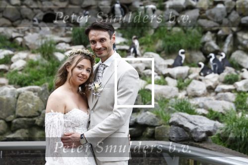 Arnhem 27 mei 2024
Trouwen Robbert de Nijs en zijn vrouw Sharon in Burgers Zoo. Zijn vader Rob de Nijs en moeder Belinda Meuldijk waren de getuigen .