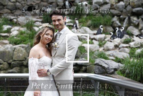 Arnhem 27 mei 2024
Trouwen Robbert de Nijs en zijn vrouw Sharon in Burgers Zoo. Zijn vader Rob de Nijs en moeder Belinda Meuldijk waren de getuigen .