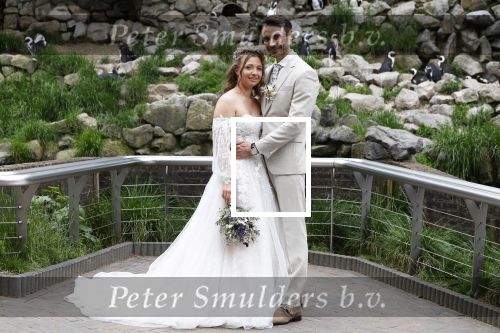 Arnhem 27 mei 2024
Trouwen Robbert de Nijs en zijn vrouw Sharon in Burgers Zoo. Zijn vader Rob de Nijs en moeder Belinda Meuldijk waren de getuigen .