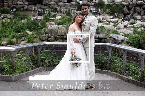 Arnhem 27 mei 2024
Trouwen Robbert de Nijs en zijn vrouw Sharon in Burgers Zoo. Zijn vader Rob de Nijs en moeder Belinda Meuldijk waren de getuigen .