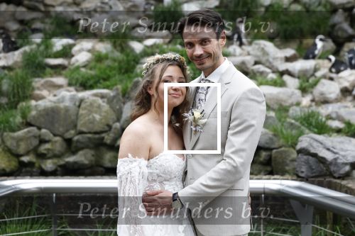 Arnhem 27 mei 2024
Trouwen Robbert de Nijs en zijn vrouw Sharon in Burgers Zoo. Zijn vader Rob de Nijs en moeder Belinda Meuldijk waren de getuigen .
