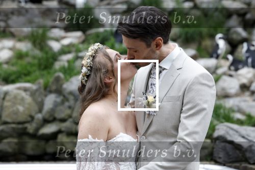 Arnhem 27 mei 2024
Trouwen Robbert de Nijs en zijn vrouw Sharon in Burgers Zoo. Zijn vader Rob de Nijs en moeder Belinda Meuldijk waren de getuigen .