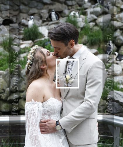 Arnhem 27 mei 2024
Trouwen Robbert de Nijs en zijn vrouw Sharon in Burgers Zoo. Zijn vader Rob de Nijs en moeder Belinda Meuldijk waren de getuigen .