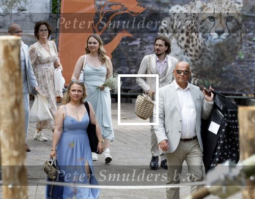 Arnhem 27 mei 2024
Trouwen Robbert de Nijs en zijn vrouw Sharon in Burgers Zoo. Zijn vader Rob de Nijs en moeder Belinda Meuldijk waren de getuigen .