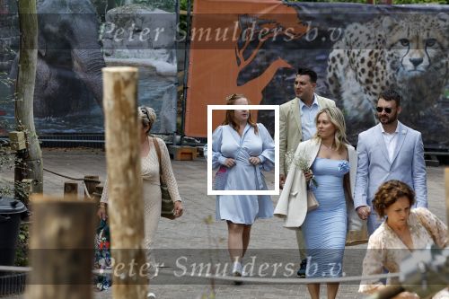 Arnhem 27 mei 2024
Trouwen Robbert de Nijs en zijn vrouw Sharon in Burgers Zoo. Zijn vader Rob de Nijs en moeder Belinda Meuldijk waren de getuigen .