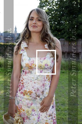 Haarzuilens 26 juni 2024
Nationale haringparty op kasteel de Haar.