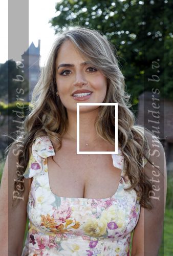 Haarzuilens 26 juni 2024
Nationale haringparty op kasteel de Haar.