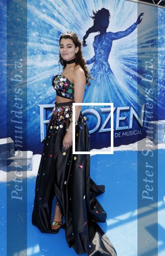Scheveningen 9 juni 2024
Premiere Frozen in het Afas circustheater. Shanna Slaap