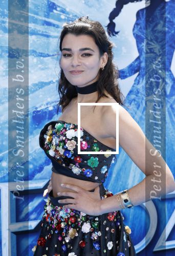 Scheveningen 9 juni 2024
Premiere Frozen in het Afas circustheater. Shanna Slaap