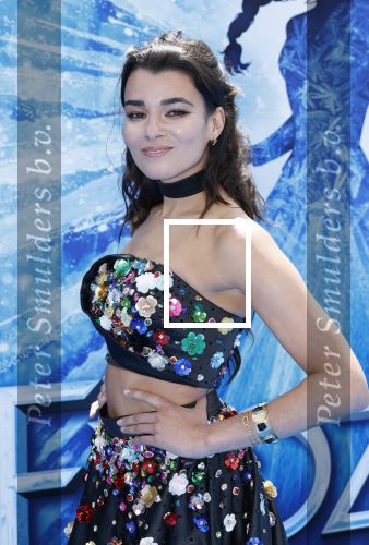 Scheveningen 9 juni 2024
Premiere Frozen in het Afas circustheater. Shanna Slaap