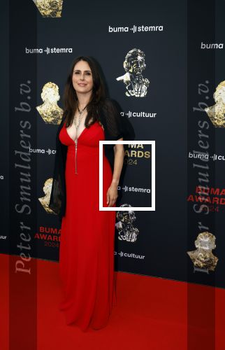 Amsterdam 3 juni 2024
Buma awards in de schouwburg  in Amsterdam . Sharon den Adel en Robert Westerholt ( Within Temptation)