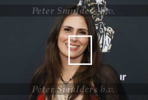 Amsterdam 3 juni 2024
Buma awards in de schouwburg  in Amsterdam . Sharon den Adel en Robert Westerholt ( Within Temptation)
