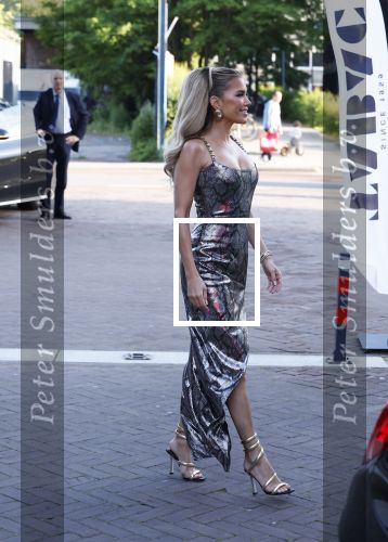 Amsterdam 29 mei 2024
FHM 500 in de Harbour Club in Amsterdam.
Sylvie Meis kwam met haar broer zwager vriendin Killer Bea en Sarina Bruens