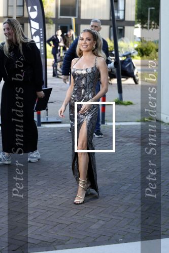 Amsterdam 29 mei 2024
FHM 500 in de Harbour Club in Amsterdam.
Sylvie Meis kwam met haar broer zwager vriendin Killer Bea en Sarina Bruens