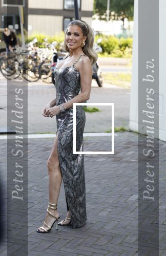 Amsterdam 29 mei 2024
FHM 500 in de Harbour Club in Amsterdam.
Sylvie Meis kwam met haar broer zwager vriendin Killer Bea en Sarina Bruens