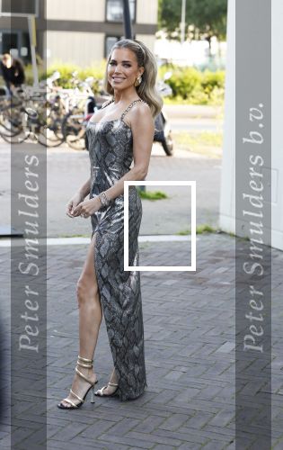 Amsterdam 29 mei 2024
FHM 500 in de Harbour Club in Amsterdam.
Sylvie Meis kwam met haar broer zwager vriendin Killer Bea en Sarina Bruens
