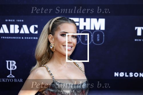 Amsterdam 29 mei 2024
FHM 500 in de Harbour Club in Amsterdam.
Sylvie Meis kwam met haar broer zwager vriendin Killer Bea en Sarina Bruens